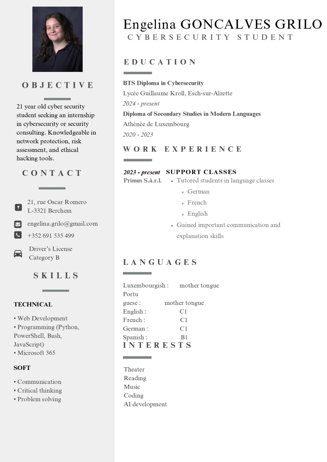 CV preview