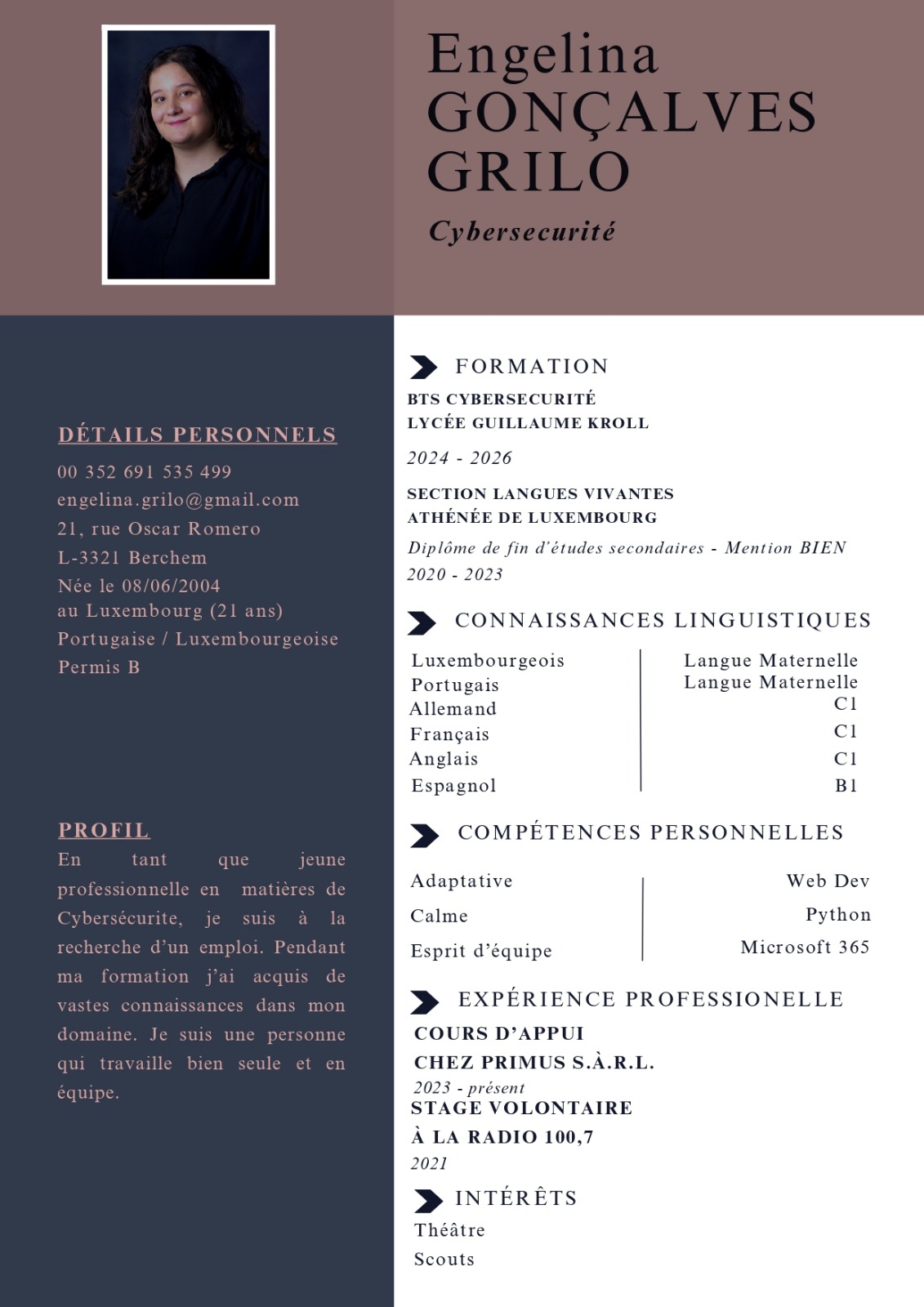 CV preview