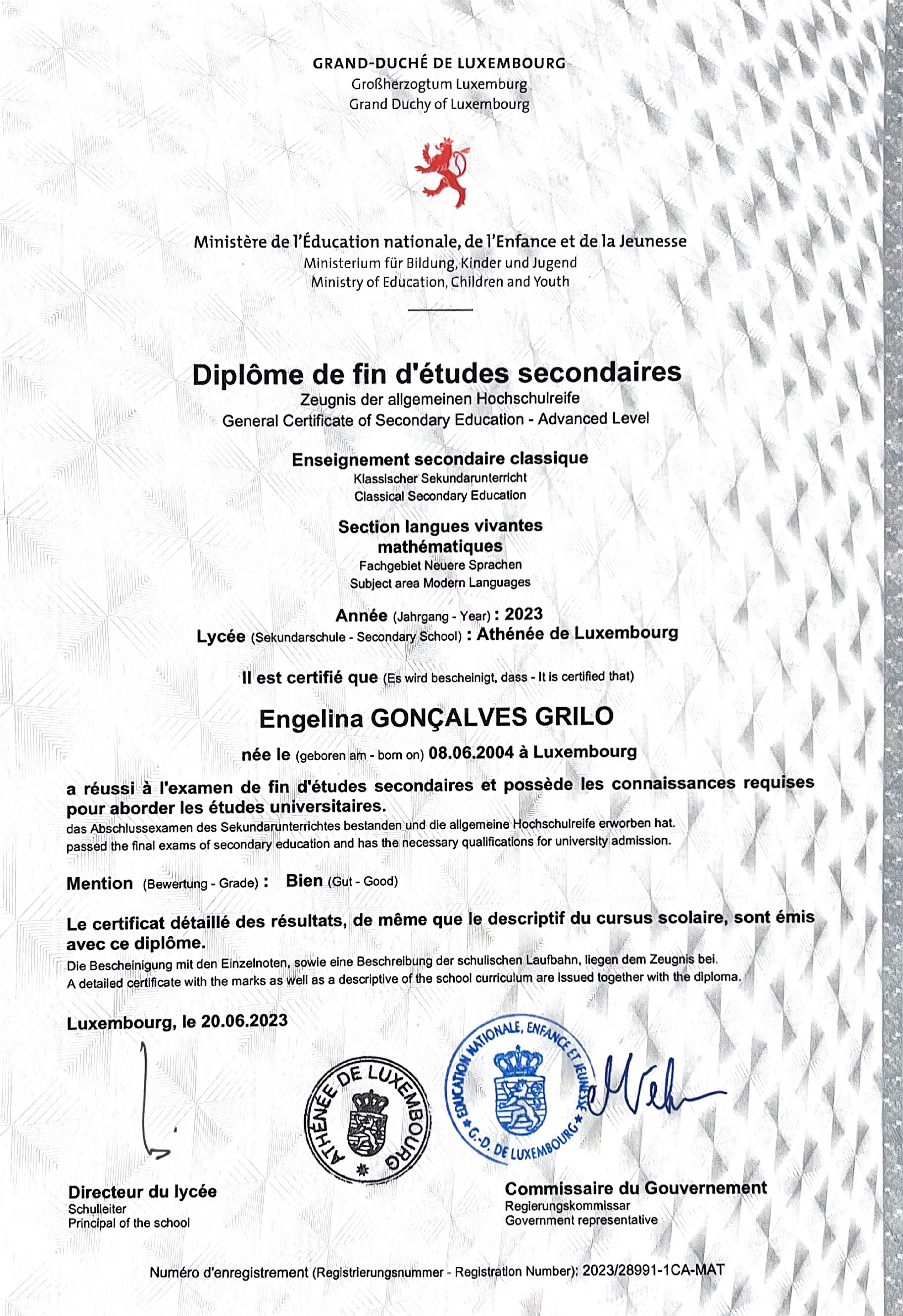 Diploma Preview